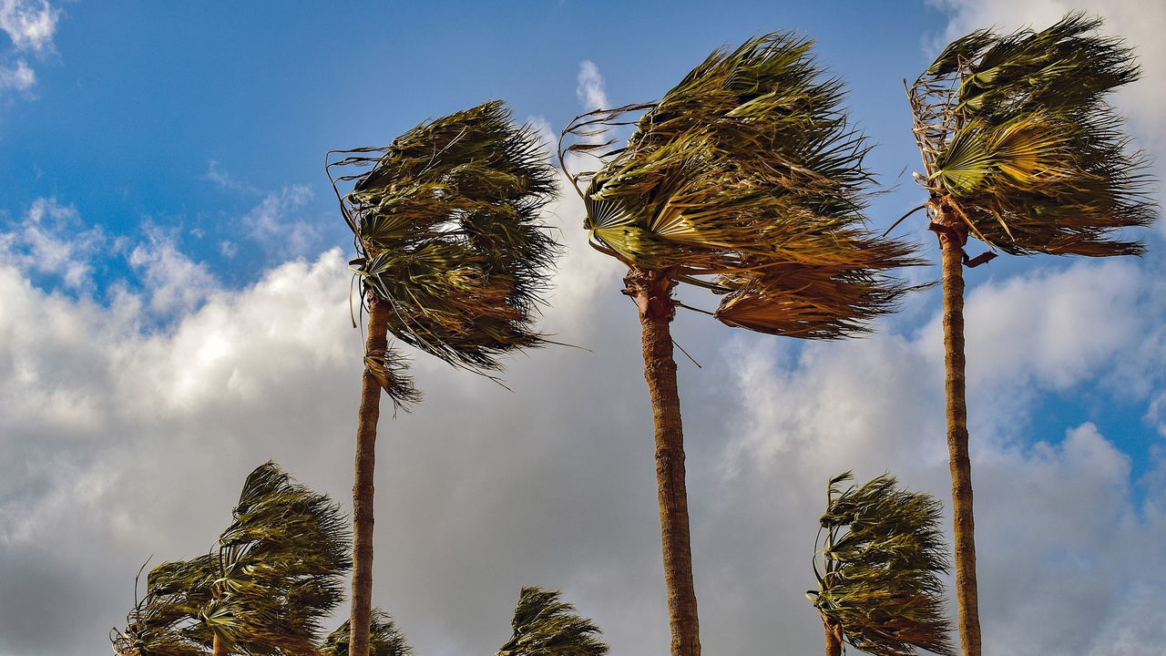 زخات رعدية ورياح قوية تضرب عدة مناطق في المملكة يوم الخميس المقبل